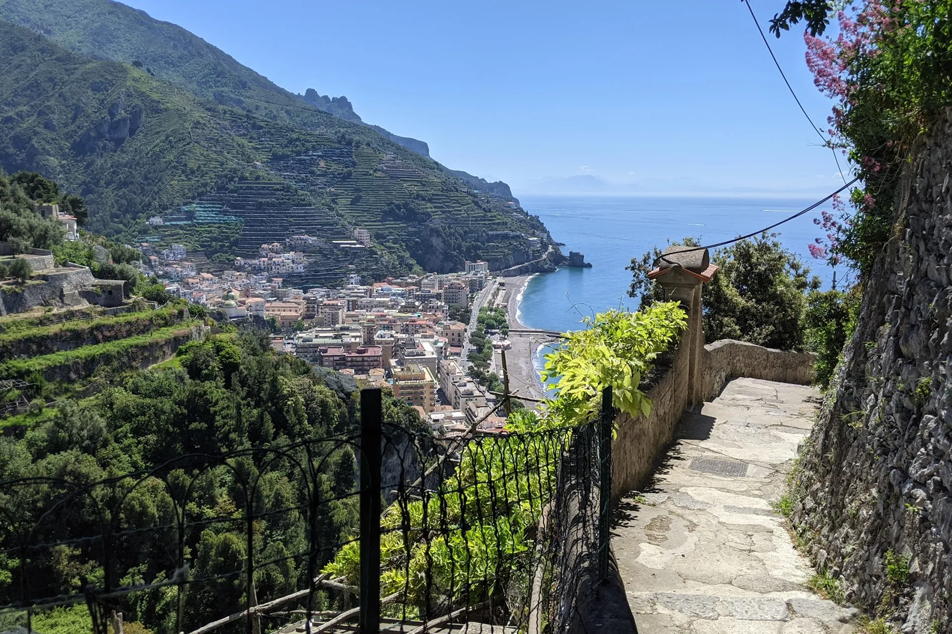Path of the Lemon Experience